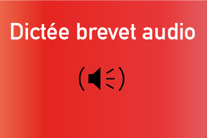 Dictée brevet texte de Salavina - corrigé et explications